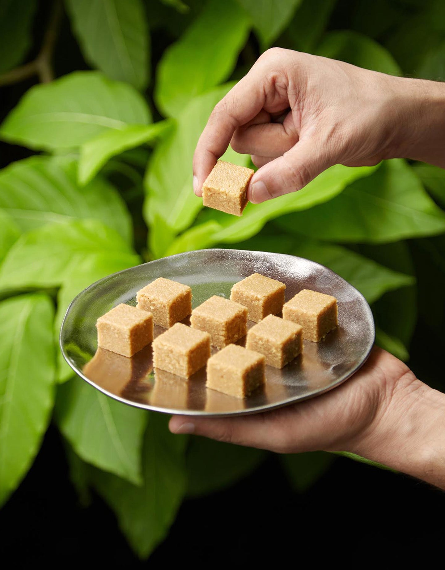 Konkani Coconut Wadi