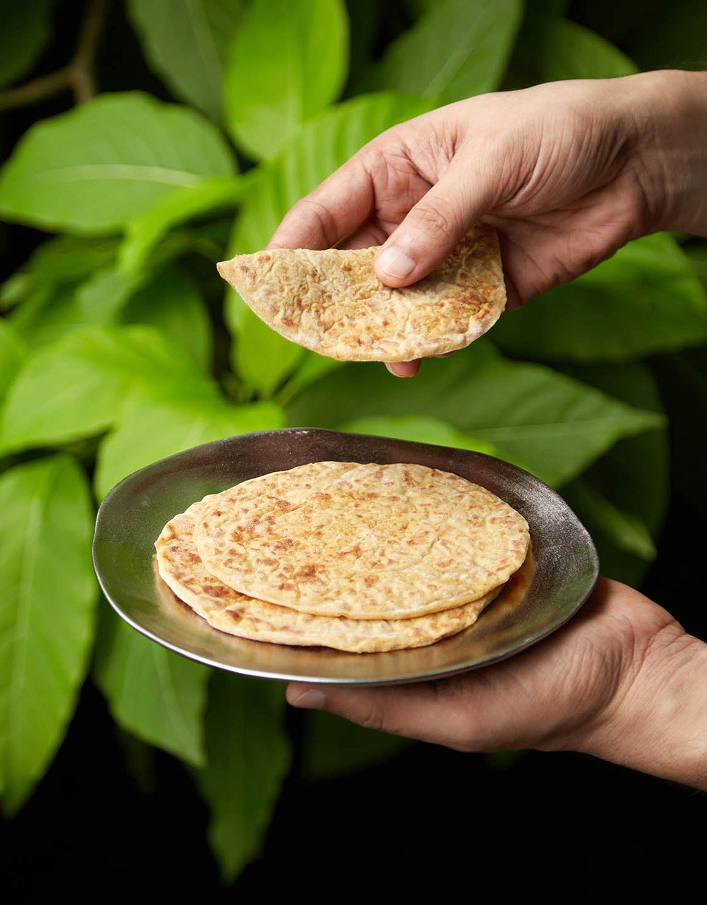 Puranpoli Lites